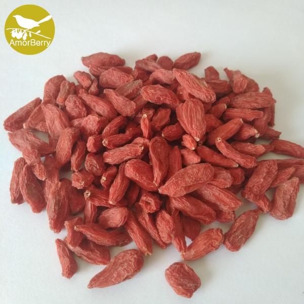 Buy cheap Himalayan fruit tea Relieve a cough Gouqizi Chinese sun dried Goji berry hot sale organic goji Ningxia wolfberry from wholesalers