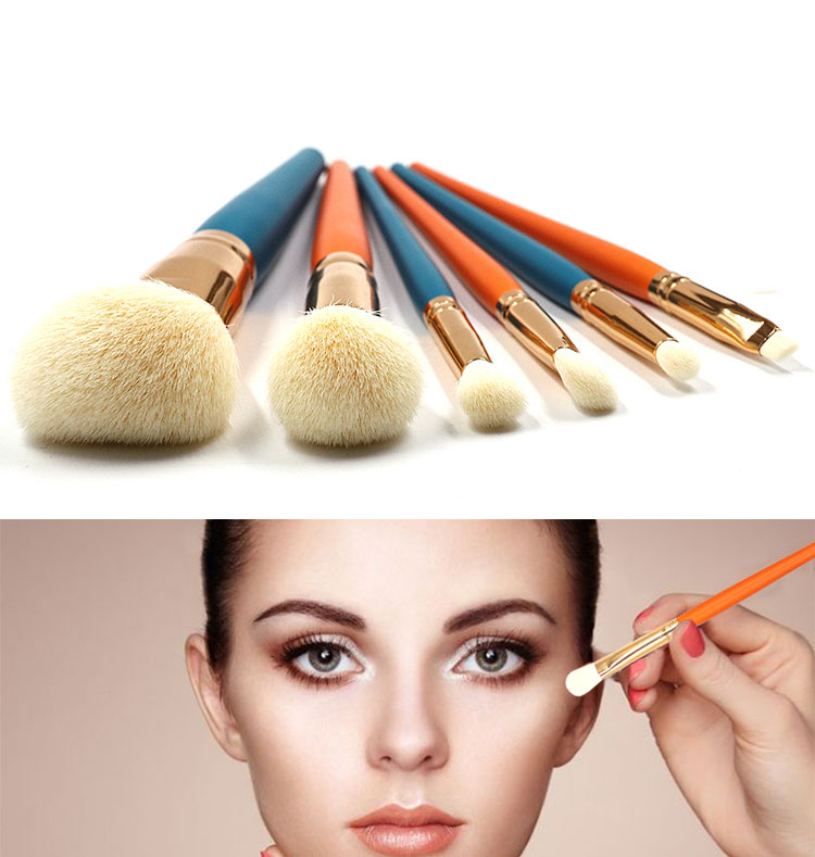 Skin Friendly 6pcs Facial Makeup Brushes Easy Powder Absorbtion