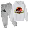 Buy cheap Children'S Outfit Sets Movie Anime Hoodie Boys And Girls Dinosaur Print Hoodie Set from wholesalers