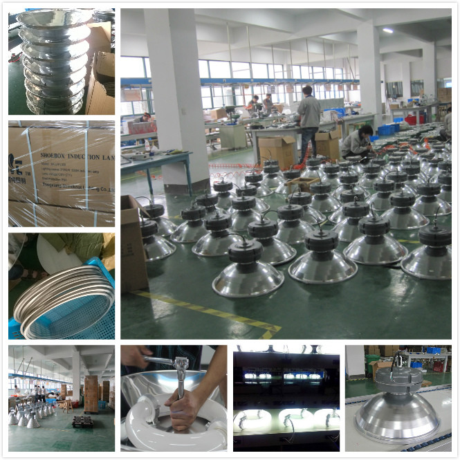 Energy Efficient Electrodeless Discharge Lamp , Magnetic Induction Lamp No Flickering