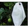 Buy cheap Multiscene Fleece Plant Bags Breathable Tear Resistant For Wrapping Fruit from wholesalers