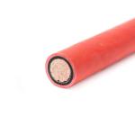 Solar 4mm Solar PV Cables 6mm2 for Solar Photovoltaic Car Low and Medium Voltage
