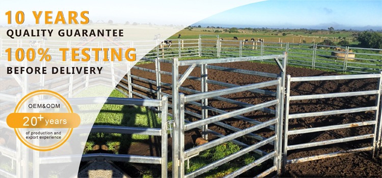 USA Hot Selling 12 Ft Heavy Duty Livestock Panel Fence / Horse Corral Panels