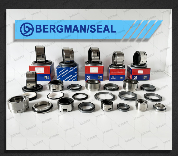 H7N H74 25mm-100mm G60 G4 G6 G9 G13 G16 BS Bo BP Pump Mechanical Seal