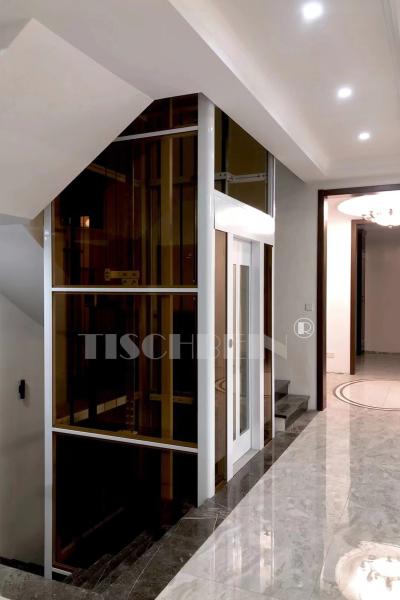 Buy cheap 304 Stainless Steel Cabin Silent Running Home Elevator 320kg 400kg 450kg Suitable For Wheelchair Entering For The Older from wholesalers