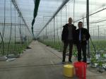Tubeless Greenhouse Twine 5kg Roll Weight And High Reliability