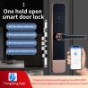 Buy cheap Digital Password Apartment Smart Door Lock TTLock Fingerprint IC Card Access from wholesalers