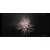 Buy cheap Custom 1.4g Un0336 100 Shots Cake Fireworks CE Certified from wholesalers