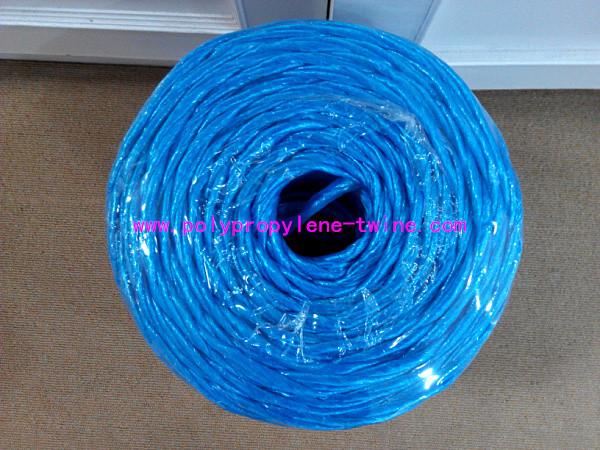 Quality 27000D Colored PP Farm Banana Twine Gardening String 3mm - 3.5mm Model for sale