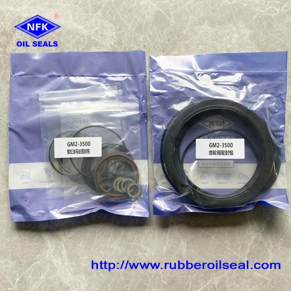 GM2-3500 Motor Service Repair Kit Marine Gear Seal Kits For Ship Hydraulic
