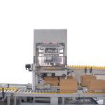 160L/Min Carton Case Automatic Packer Machine For Bottle Canned Beer Juice