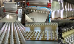 Wholesale 350KG/H Automatic Marshmallow Depositor Stainless Steel Industrial Easy Operated from china suppliers