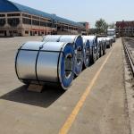 Hot Rolled 409 316L Stainless Steel Coil 304 SS Sheet Coil