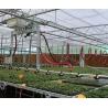 Buy cheap Seeding/Vegetables/Fruit/Flower Controlled Environment Hydroponic Seedling Greenhouse from wholesalers