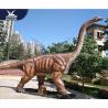 Buy cheap Jurassic Theme Park Realistic Dinosaur Models / Life Size Dinosaur Statues For Child from wholesalers