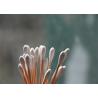Buy cheap Bamboo Compostable Cotton Swabs Lint Free High Absorbent Odor Free from wholesalers