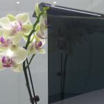 No Migration PET Window Film With 100% Inorganic Nano Ceramic Tinting