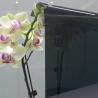 Buy cheap No Migration PET Window Film With 100% Inorganic Nano Ceramic Tinting from wholesalers