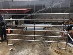 Metal Cattle / Horse Fence Panels / Portable Corral Panels Corrosion Resistant