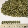 Buy cheap Competitive Price Bulk Supply Organic Pumpkin Kernel Pumpkin Seed hot selling in Amazon from wholesalers