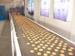 Industrial Flat Top Chain Conveyor Belt System Aluminium Roller Track