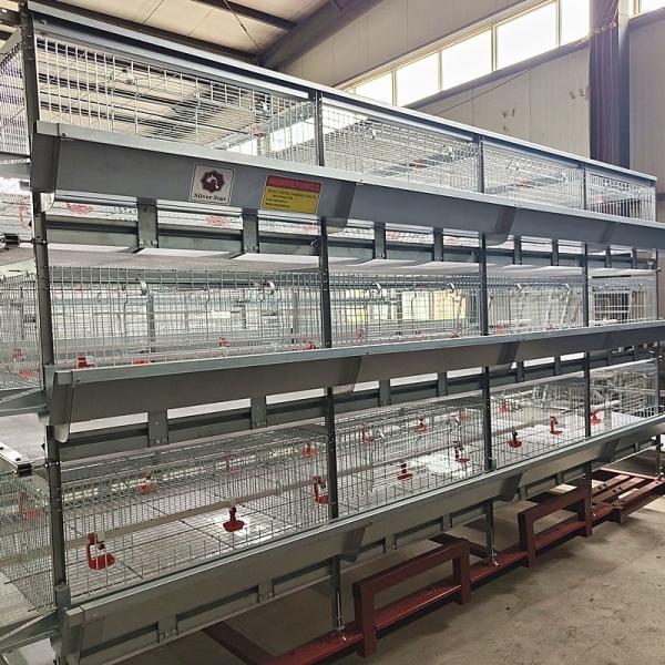 Buy cheap High Brood Survival Rate Layer Chicken Broiler Cage For Little Chick from wholesalers
