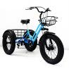 Buy cheap Adults Pedal Cargo 3 Wheel Fat Tire Bike 20*4.0 Disc Brake 7 Speed Tricycle from wholesalers