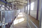 Parallel Quick Release Automatic Cow Milking Parlor Electric Milk Meter