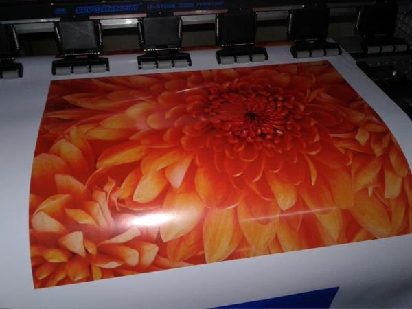 Buy cheap Flad manufacturer wholesale Self Adhesive Vinyl for Car Wrapping from wholesalers