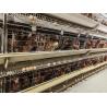 Buy cheap Domestic Bird For Hens Chicken Cage Laying Eggs Domestic Bird For Hens from wholesalers