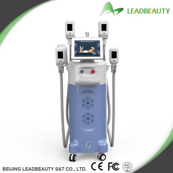 Buy cheap Fat freezing lose weight cryolipolysis body slimming machine from wholesalers