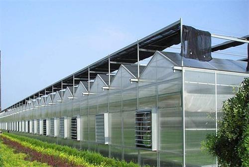 Buy cheap Vegetable Under/Toughened Tempered Glass from wholesalers