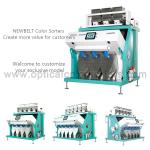 Optical Speckled Kidney 99.99% Bean Color Sorter