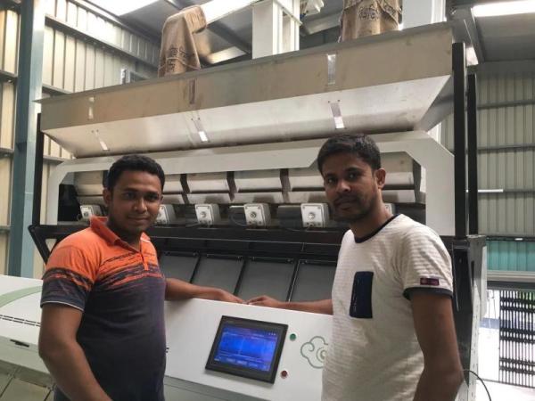 Buy cheap Multifunctional Grain Color Sorter With 220V 50HZ Single Phase from wholesalers