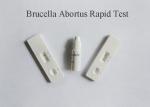 Plasma Specimen Blood Infection Test Detect Brucella Abortus Antigen 98%