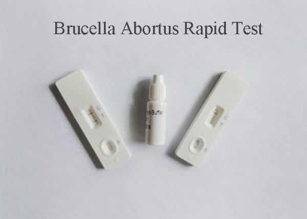 Buy cheap Plasma Specimen Blood Infection Test Detect Brucella Abortus Antigen 98% Accuracy from wholesalers