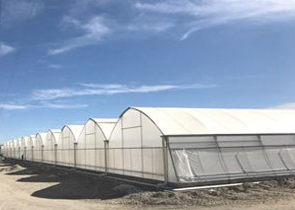 Buy cheap Smart Control Plastic Film Greenhouse , Flower / Vegetable Agricultural Greenhouse from wholesalers