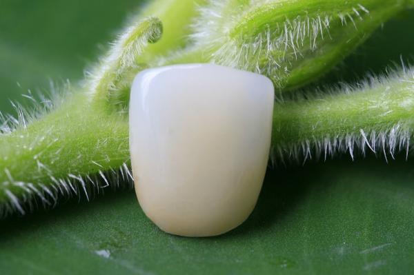 Buy cheap Great Fitness Full Ceramic Biocompatible EMAX Dental Crown from wholesalers
