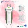 Buy cheap most popular in Europe cryolipolysis machine for body slimming from wholesalers
