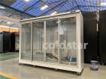 Vertical Glass Door Commercial Supermarket Refrigerator Frozen Food Display