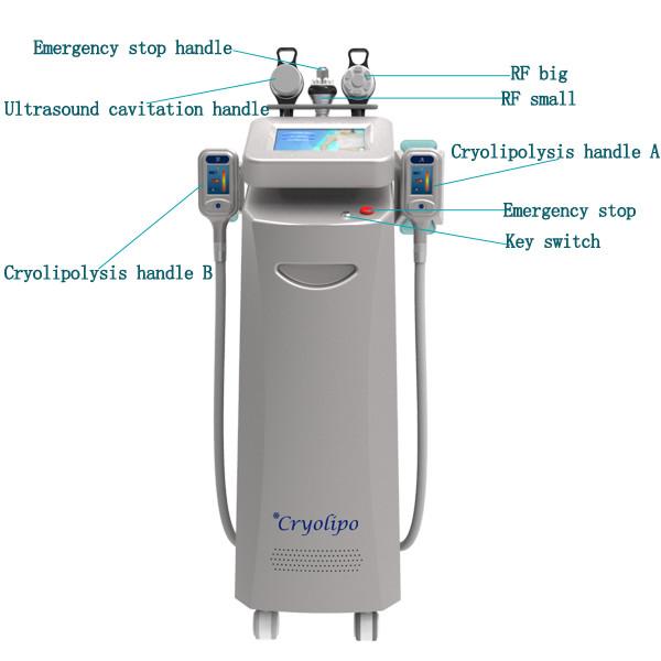 Buy cheap Beauty systerm Cryolipolysis Slimming Machine with color touch screen from wholesalers