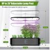 Buy cheap 24W Hydroponics Small Garden Herbs Growing System 12 pods Leaf Green Plants Smart Garden Seedling 3.8L from wholesalers