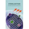 Buy cheap Universal Magnetic Knife Holder Sterilizer Block Smart Kitchen Storage Disinfection from wholesalers