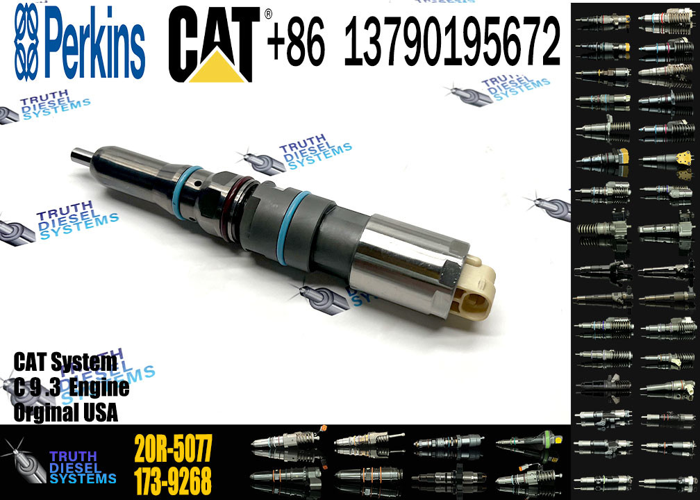 Fuel Injector Common Rail Injector 456-3493 367-4293 363-0493 20R-5077 364-8024 171-9704 196-1401 For Cat C9.3