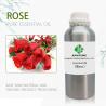 Buy cheap 1000ml Rose Pure Essential Oil 100% Natural Rose Oil Aromatherapy MSDS FDA from wholesalers