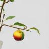 Buy cheap Anti UV Artificial Apple Branch Plastic Plant Outdoor Decorative from wholesalers