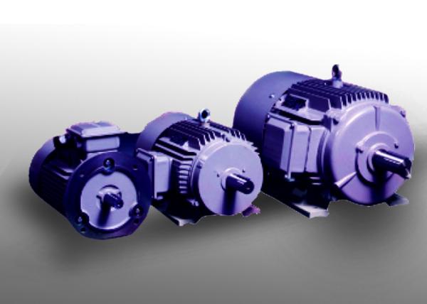Buy cheap Three Phase IP54 High Efficiency Permanent Magnet Motor from wholesalers