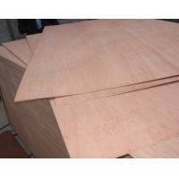 Buy cheap Packing grade plywood, plywood for packing use, cheap commercial plywood, poplar product