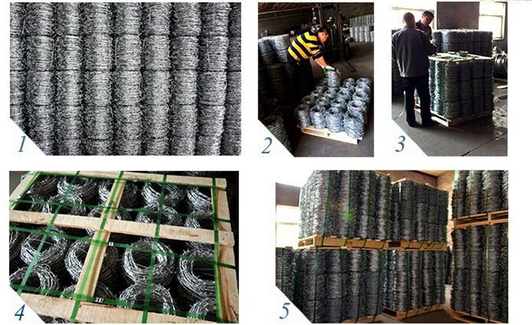 Silver Barbed Wire Farm Fence For Fencing Protection