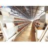Buy cheap Animal Feeding H Type Automatic Chicken Cage , Hen Battery Cages For Broilers from wholesalers